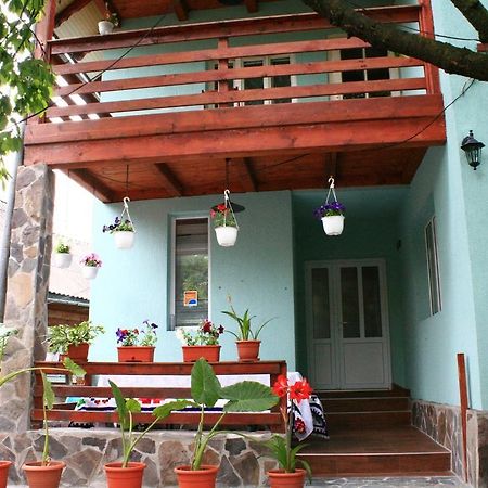 Busta House Hotel Bogdan Voda Ngoại thất bức ảnh