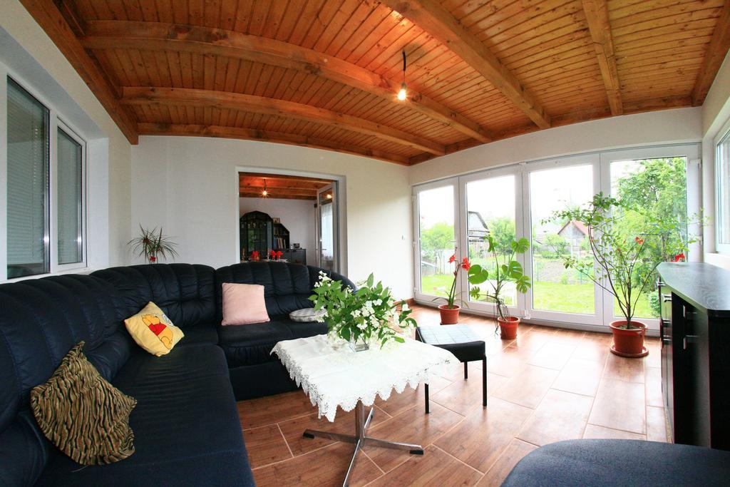 Busta House Hotel Bogdan Voda Ngoại thất bức ảnh