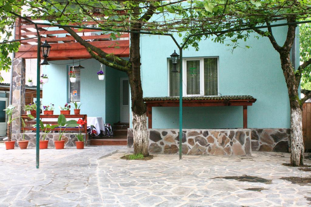 Busta House Hotel Bogdan Voda Ngoại thất bức ảnh